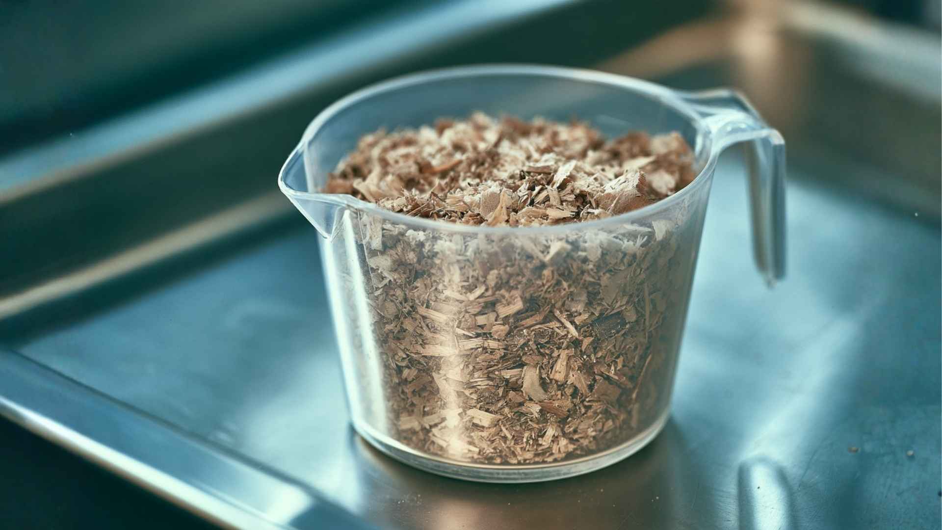 Analyses de bois dans la compositions des croquettes pour chiens et chats